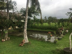 Exterior - Purnama Di Bisma (Ubud)