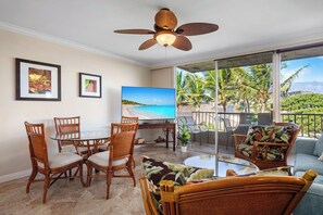 Televisio, DVD-soitin