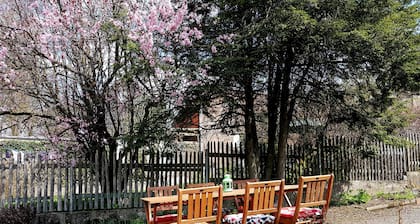 Harz sweet Harz - 4 makuuhuoneen loma-asunto