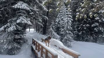 A snow-covered wooden bridge in a forest.
