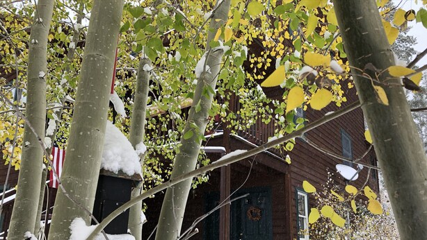Une cabane en bois avec un porche enneigé, entourée d’arbres aux feuilles jaunes.
