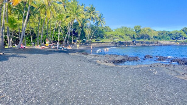 A beach with black sand, palm trees, and clear blue water. - One bedroom  in United States of America, Pahala (Pahala)