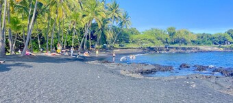 One bedroom  in United States of America, Pahala