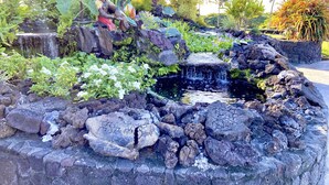 A garden with a small waterfall, rocks, and tropical plants. - One bedroom  in United States of America, Pahala (Pahala)