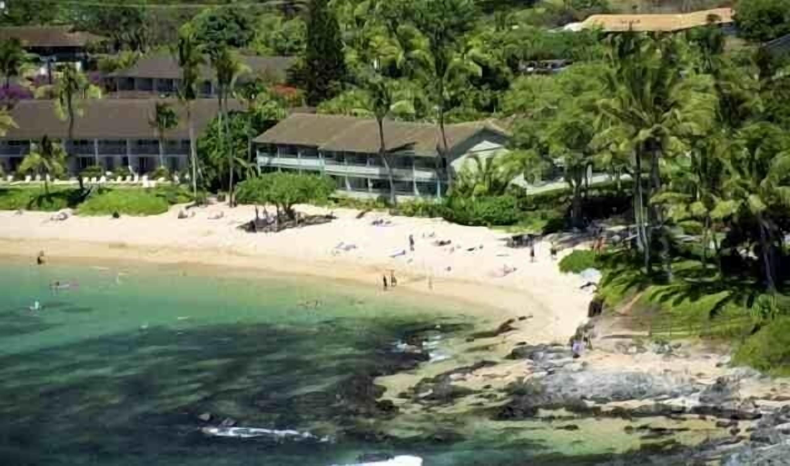 The Napili Bay Resort, Sky View, lost the Tree, 2017.