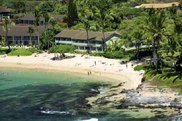 The Napili Bay Resort, Sky View, lost the Tree, 2017.