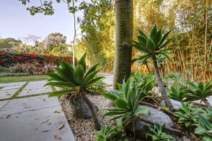 Backyard.