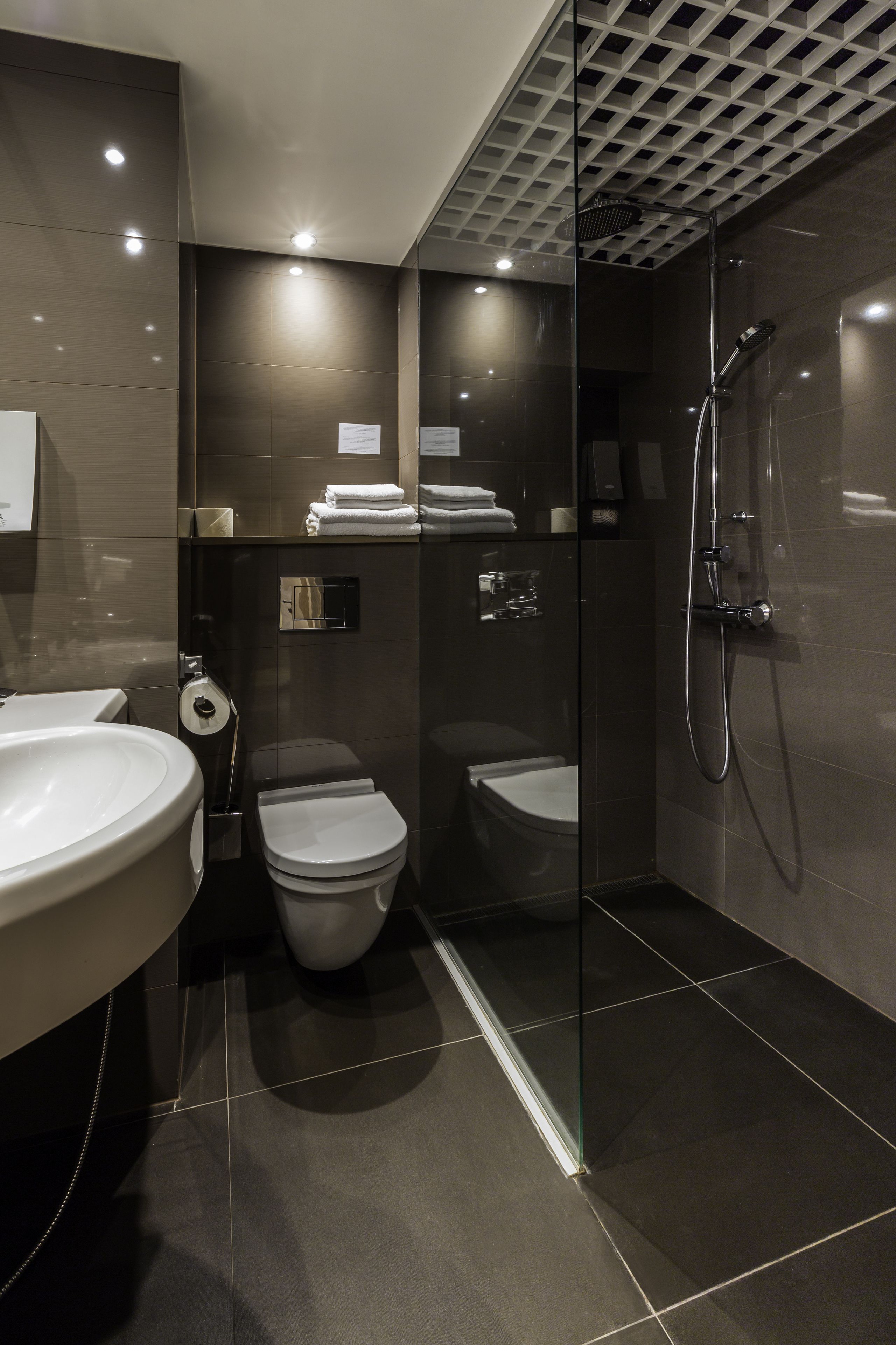 A modern bathroom with a glass-enclosed shower, a toilet, and a sink.