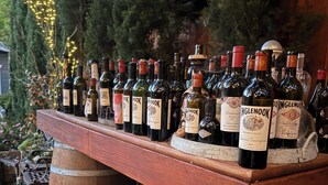 Una botellera de madera con botellas de vino Inglenook, frente a un fondo de árboles e iluminación exterior.