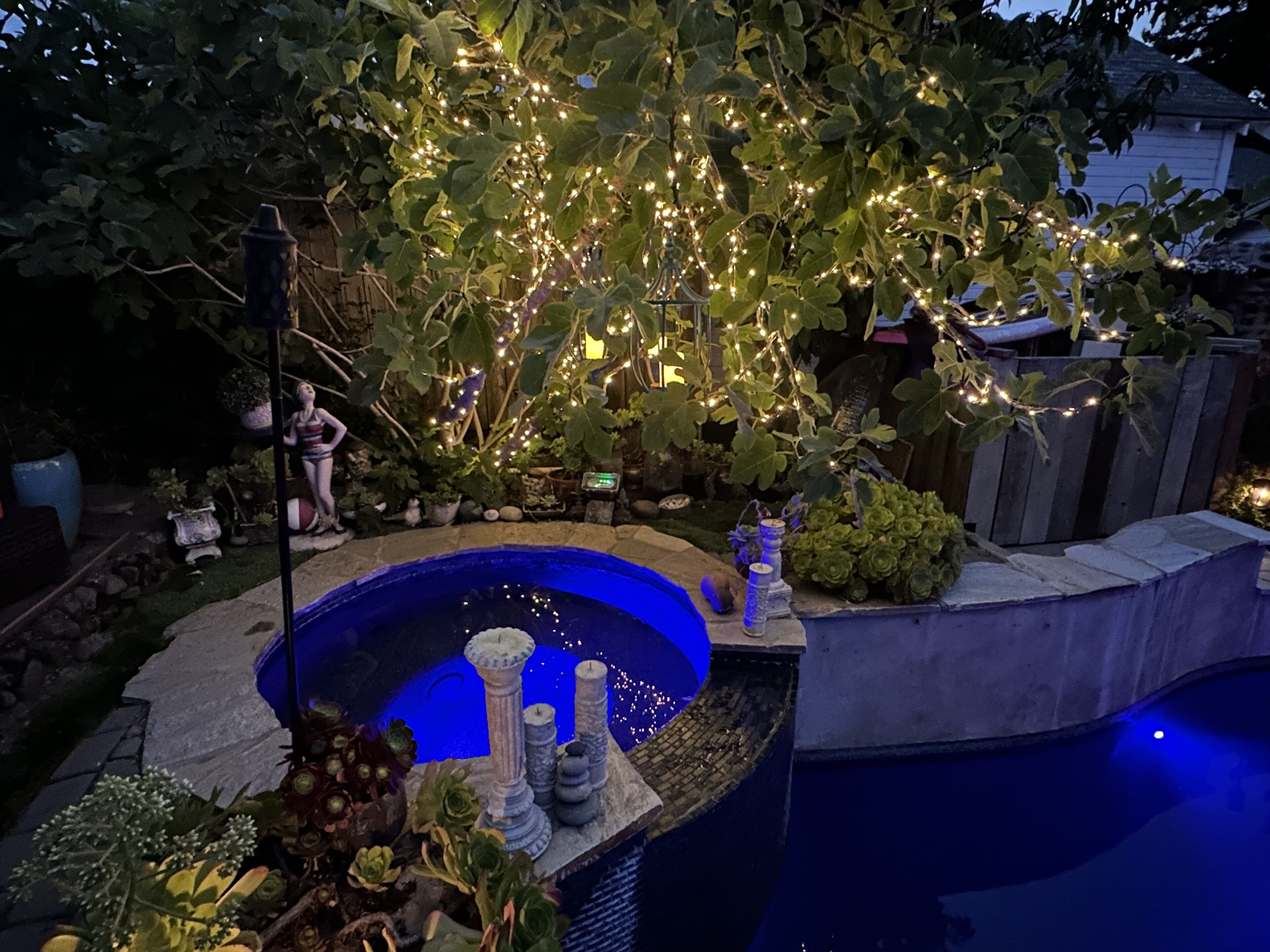 Zwembad met een blauw interieur, omringd door decoratieve planten en stenen constructies.