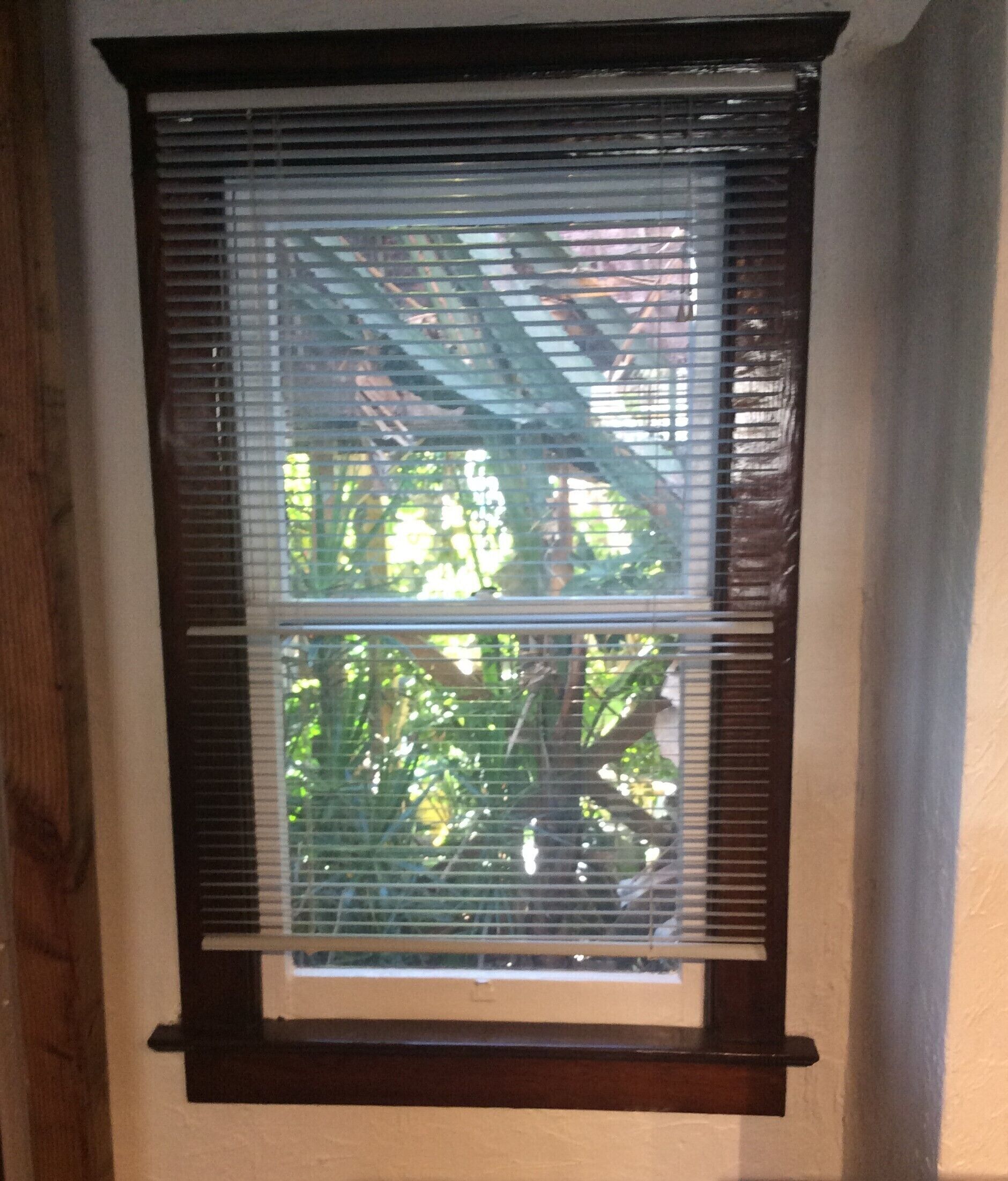 A window with horizontal blinds, a wooden frame, and a view of greenery outside.