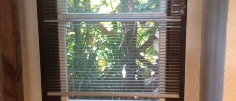 A window with horizontal blinds, a wooden frame, and a view of greenery outside.
