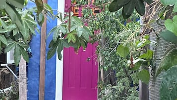 A wooden staircase leading to a door with a blue and pink facade, surrounded by greenery.