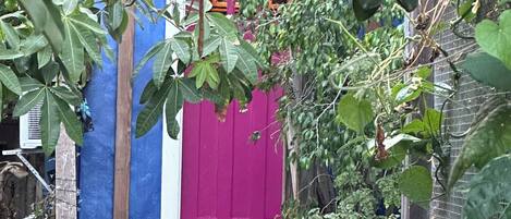 Una escalera de madera que conduce a una puerta con fachada azul y rosa, rodeada de follaje.