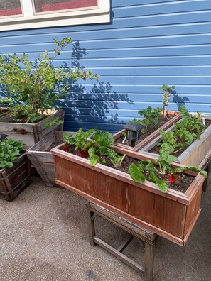 Overnattingsstedets uteområder