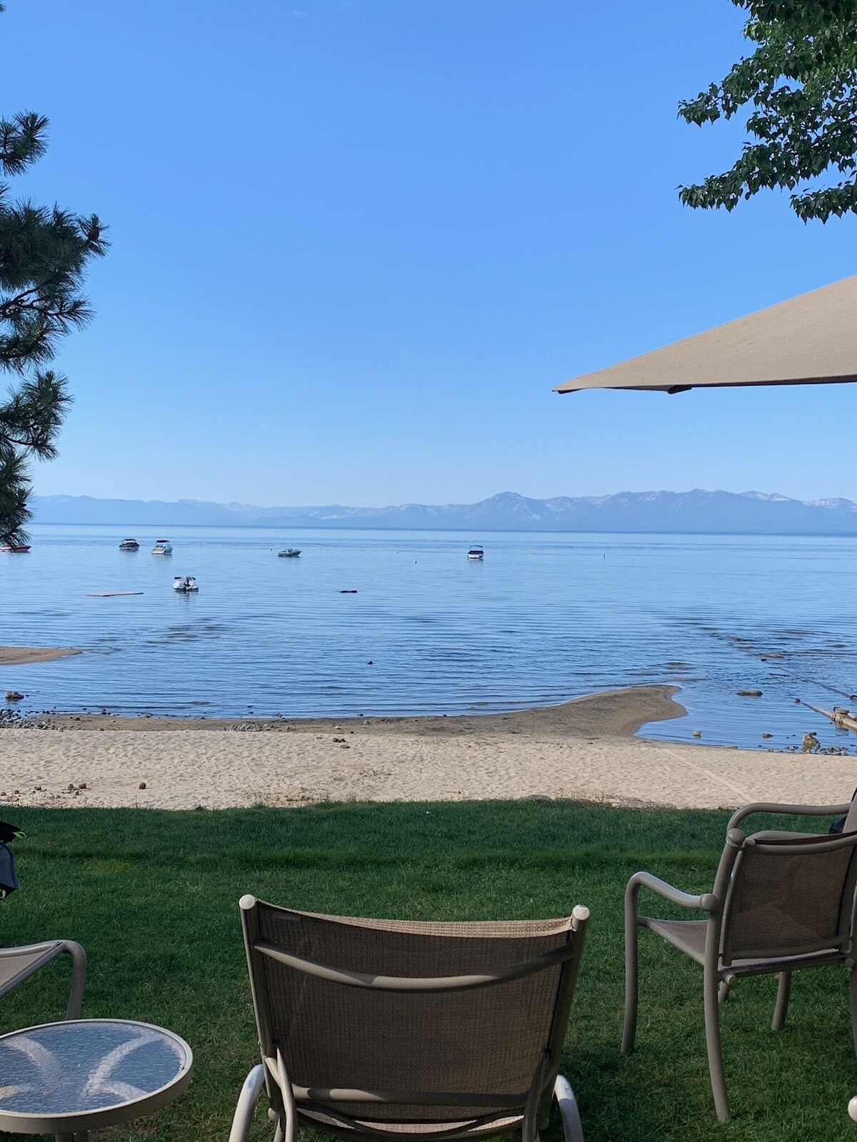 Imagen de perfil del propietario o de la propietaria