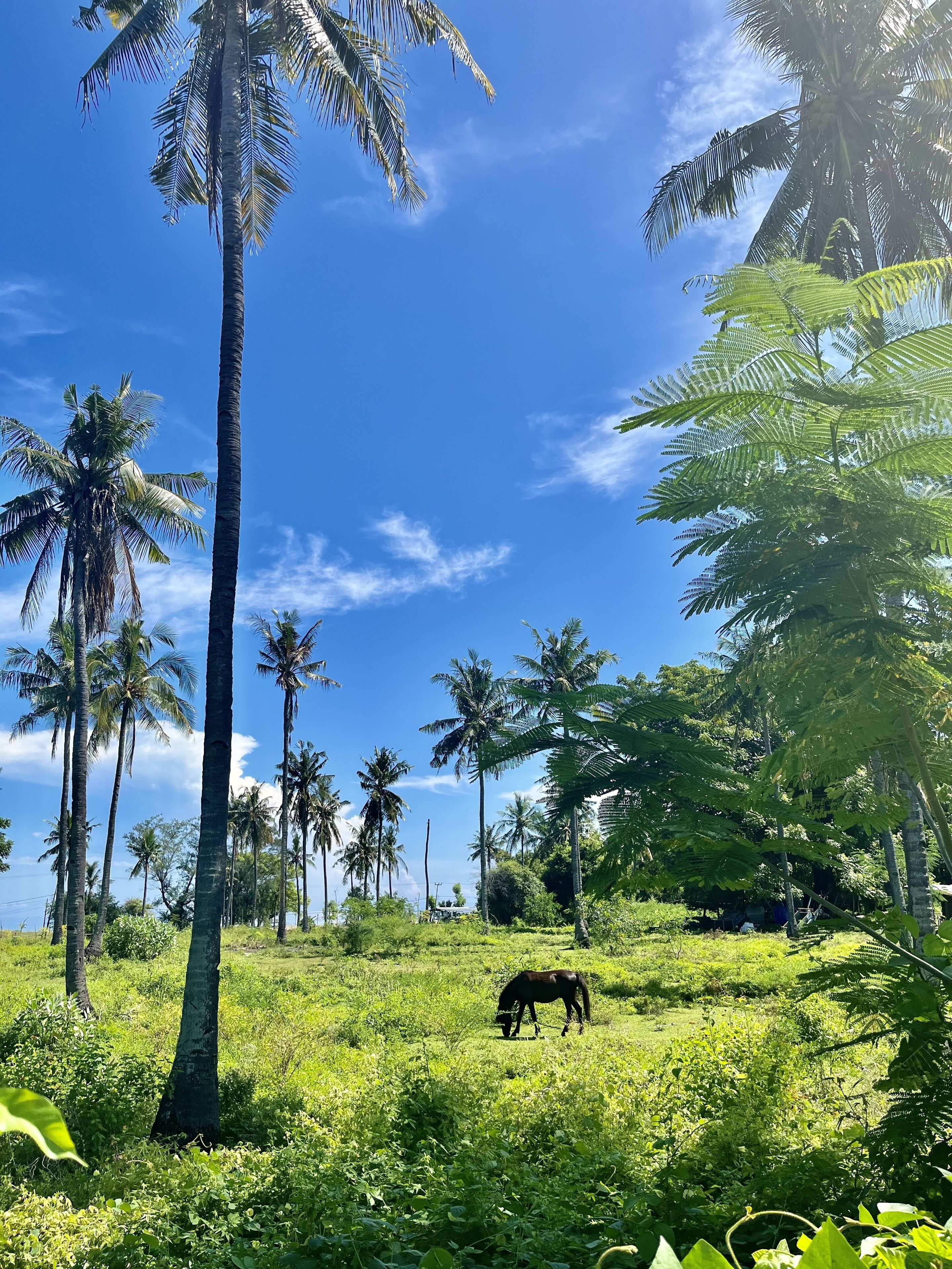 Photo - GiliZen Resort - Private Pool Villas
