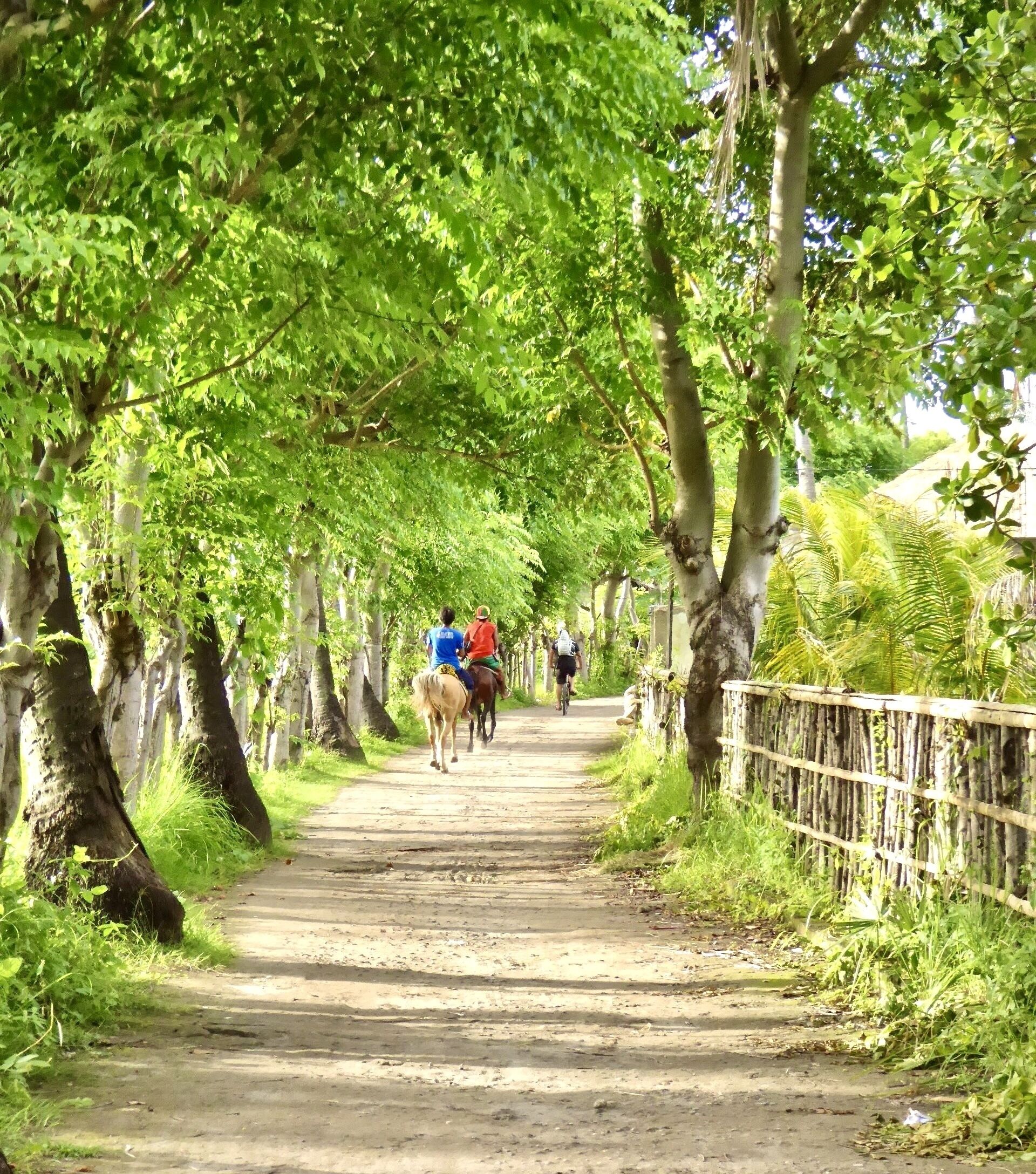 Photo - GiliZen Resort - Private Pool Villas