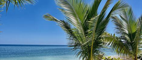 Plage à proximité, sable blanc