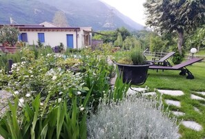 Exterior - Hotel Calvi (Vittorio Veneto)