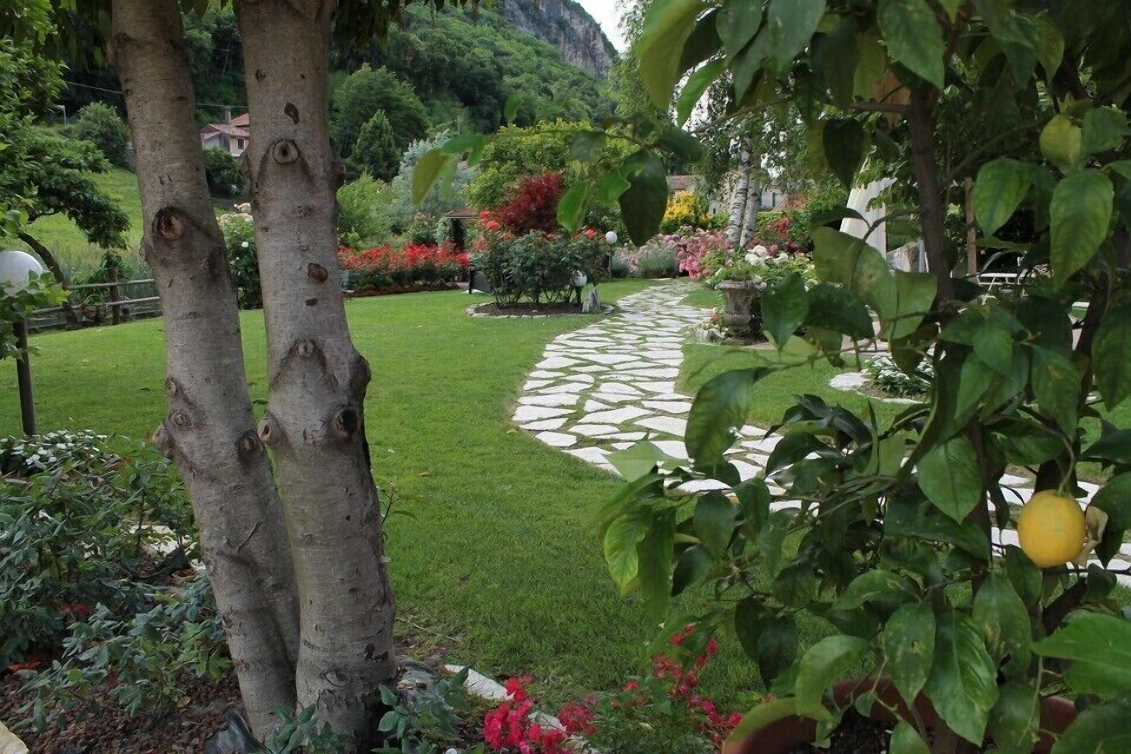 Un jardin avec un sentier en pierre, une végétation luxuriante et une grande variété de plantes.