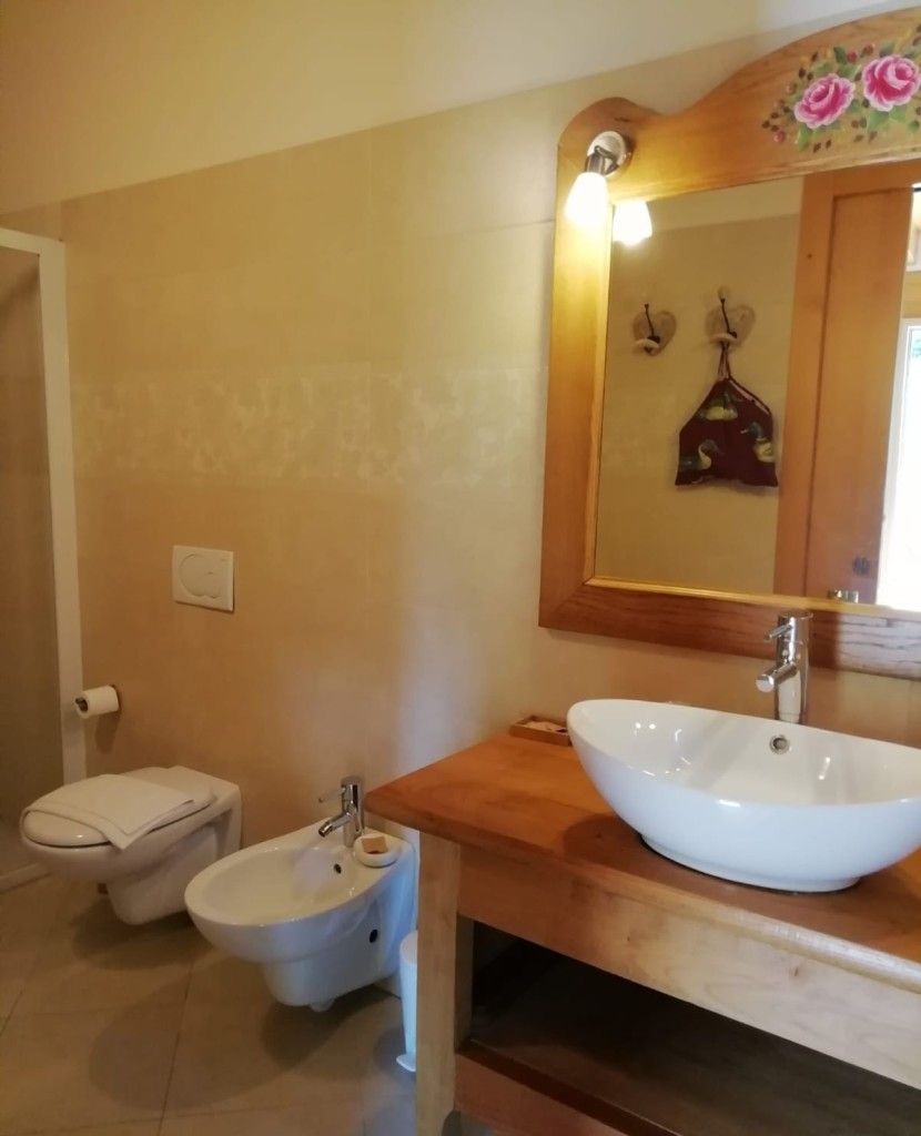 A bathroom with a wooden vanity, a white sink, a bidet, and a mirror with a floral design.