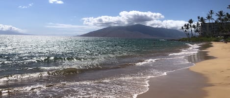 Perto da praia, espreguiçadeiras, toalhas de praia 