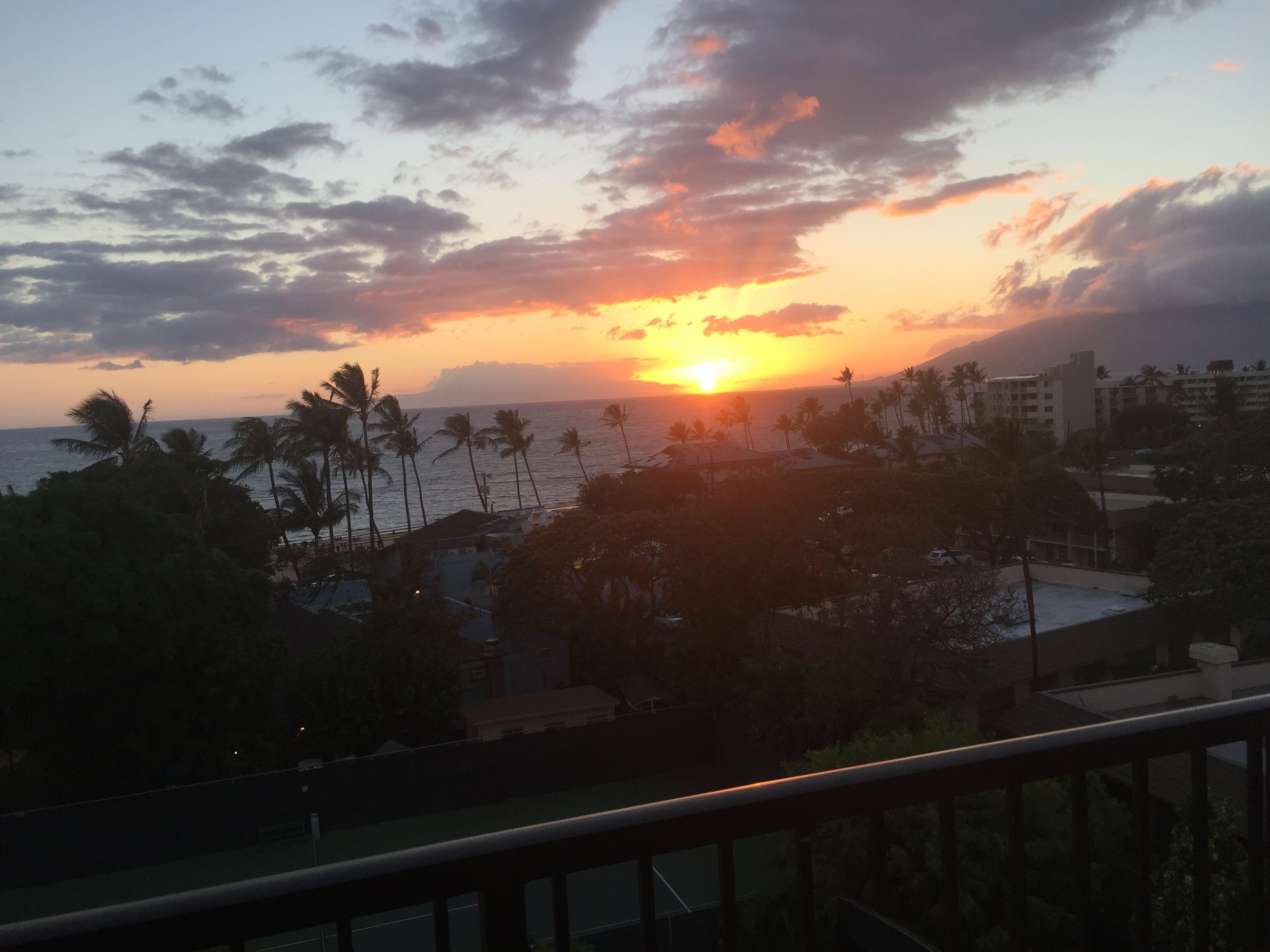 A sunset over a coastal area with palm trees and buildings.