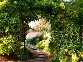 Jardín