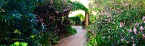 Garden - Tilba Lake House (Central Tilba)