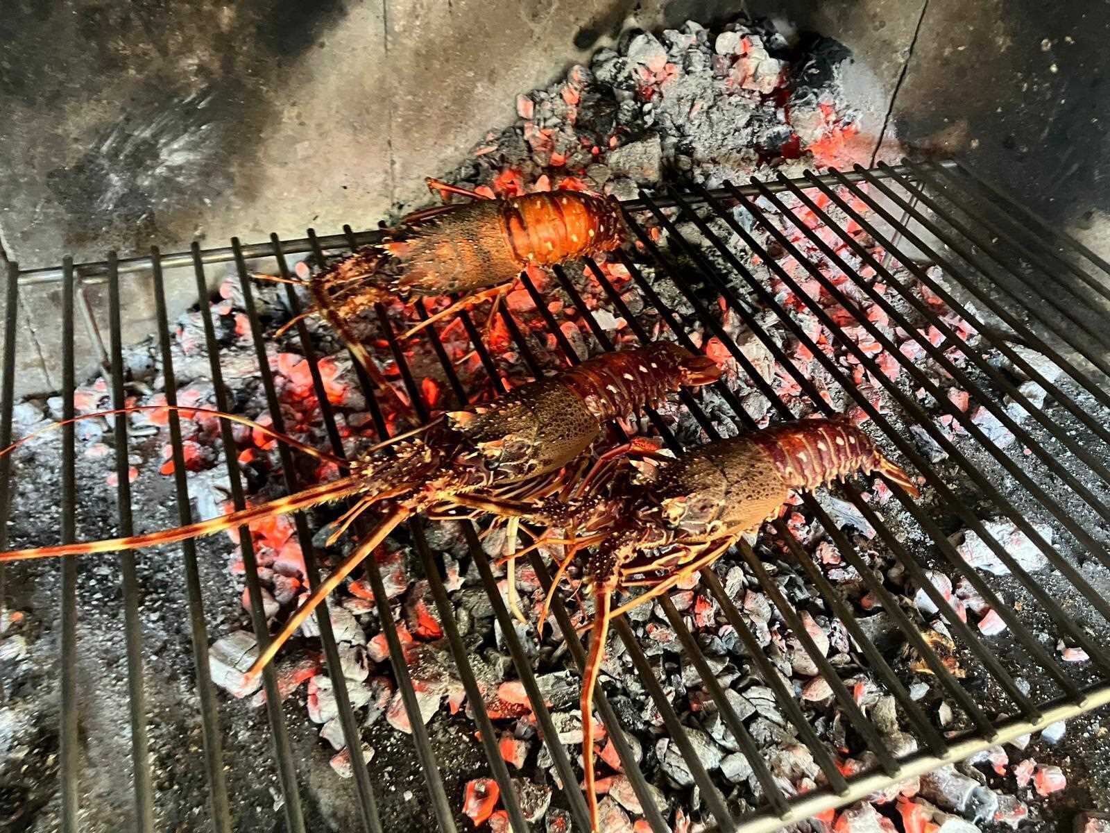 Lobsters being grilled on a grill with charcoal.