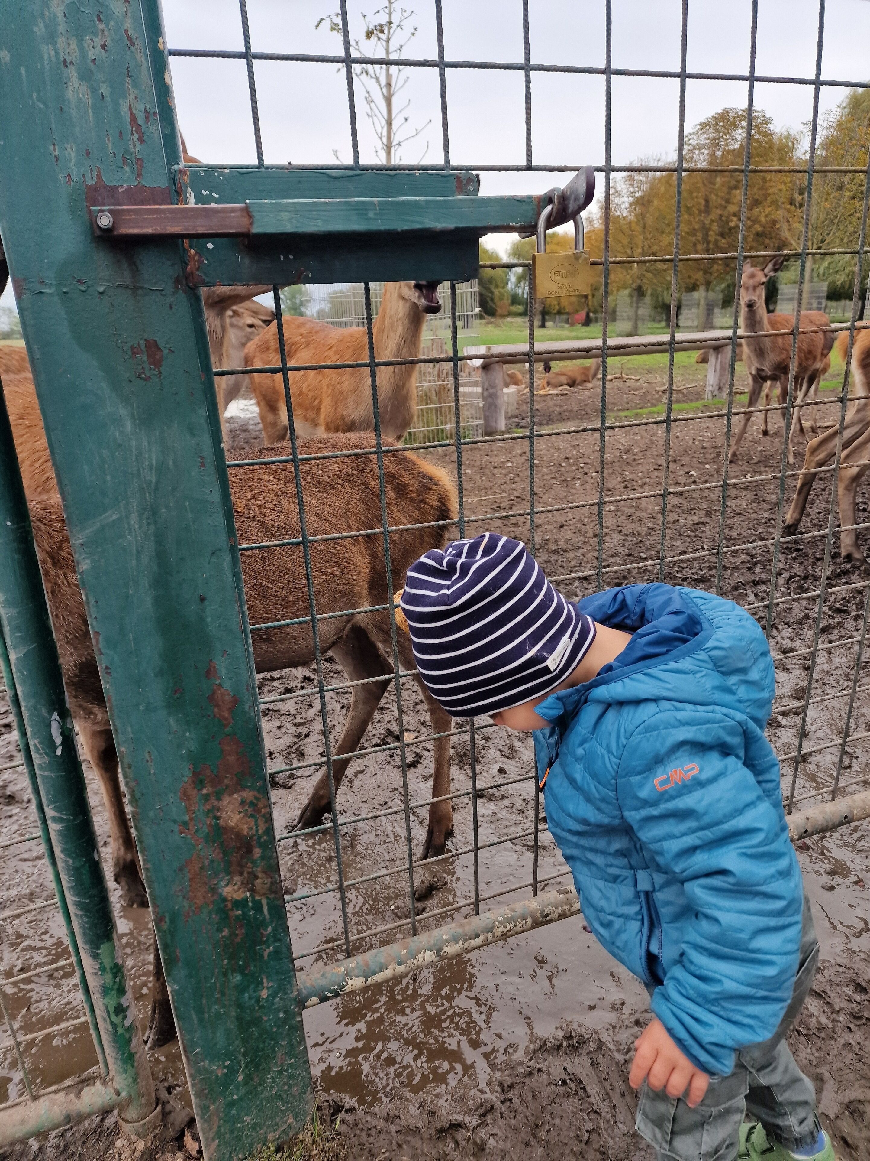 children’s activities