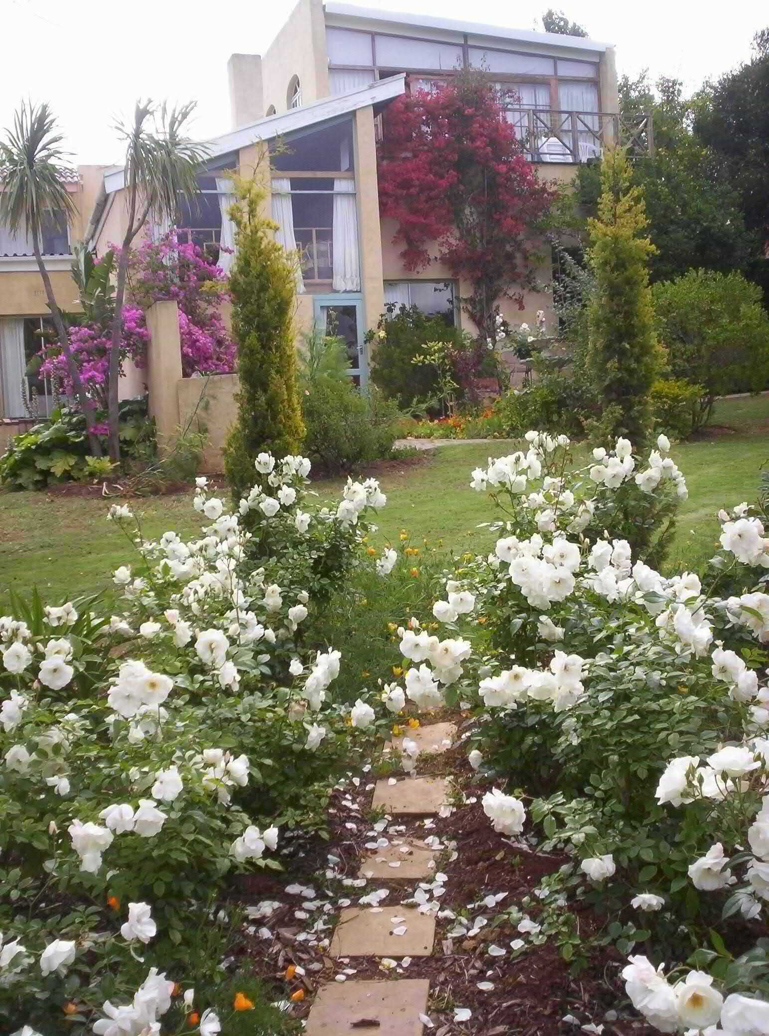 頂級雙人房 | 住宿一隅