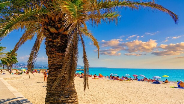 A beach with palm trees, people sunbathing, and umbrellas. - F2 luxury air-conditioned sea view 100 meters from the beach in the famous Marina. (Villeneuve-Loubet)