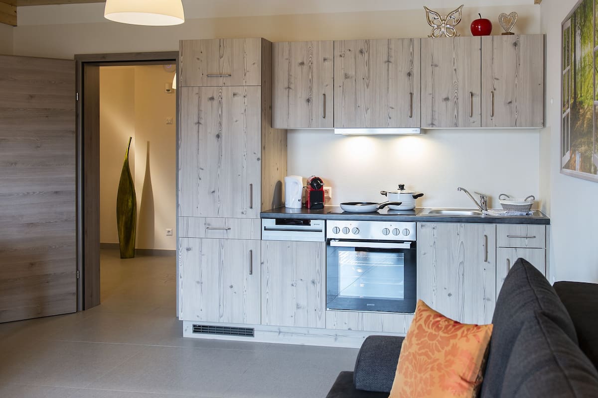 Full-size fridge, oven, stovetop, dishwasher