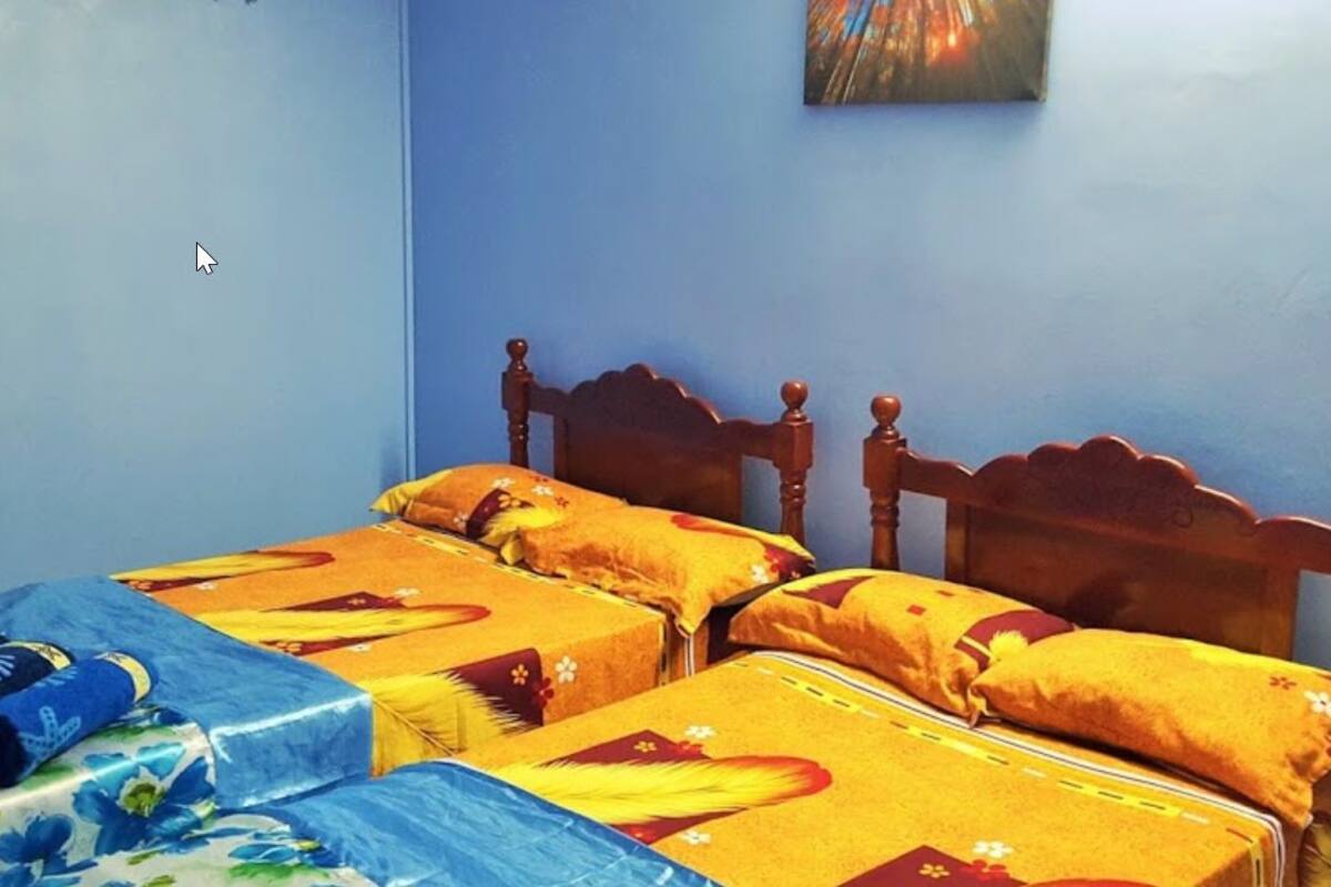 Une chambre avec deux lits, une tête de lit en bois et un mur bleu.