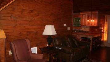 Fernseher, Kamin, DVD-Player