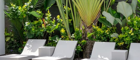 Outdoor pool, pool loungers