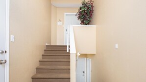 Gradi amb moqueta que porten a una porta blanca, amb una planta sobre una prestatgeria.