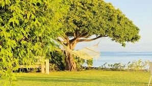 A garden with a large tree, a hammock, and a view of the sea. - Large villa Le Ficus by the sea with swimming pool (PAEA)