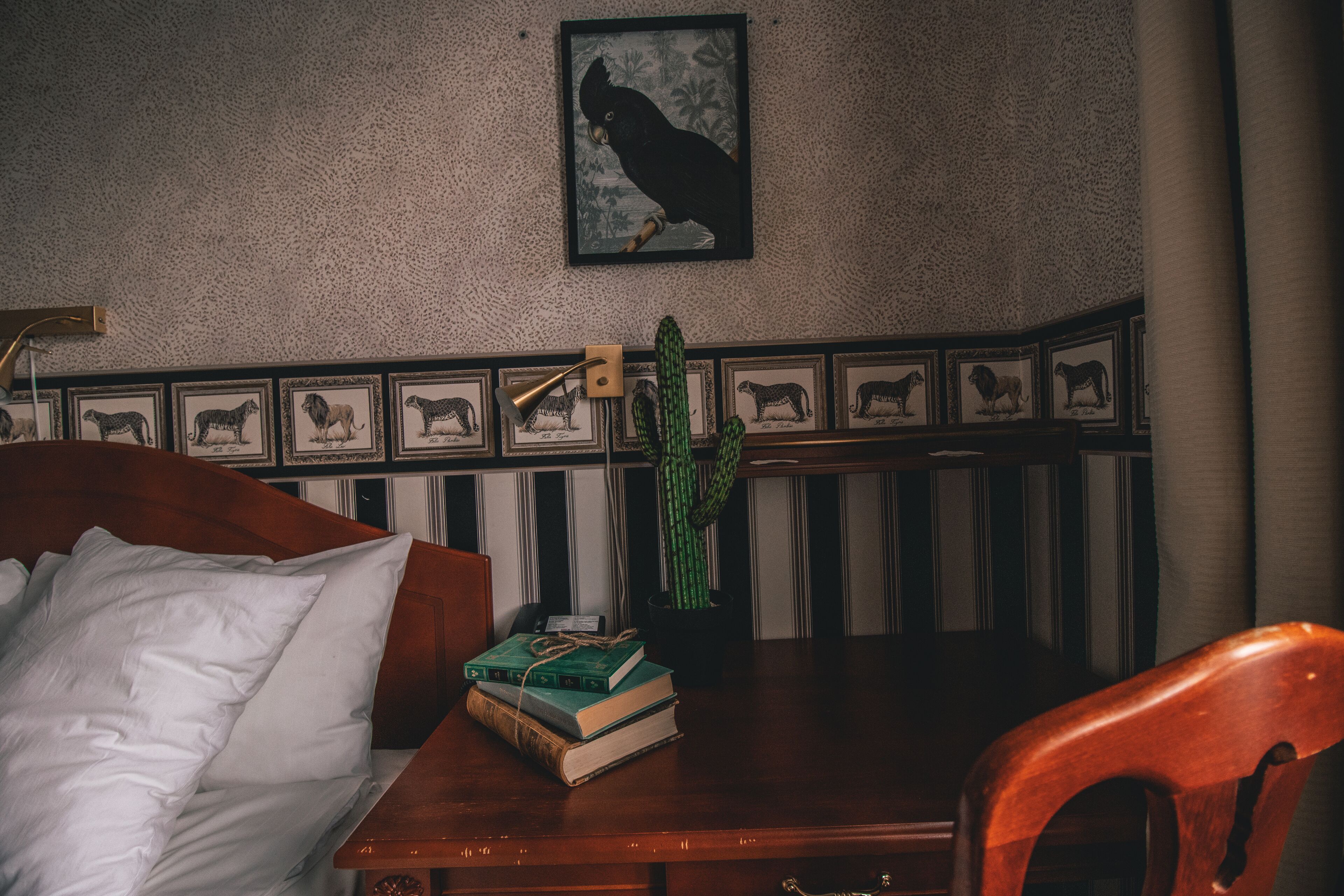 A room with a wooden bed, a desk with books, a cactus, framed animal pictures, and a wall-mounted lamp.