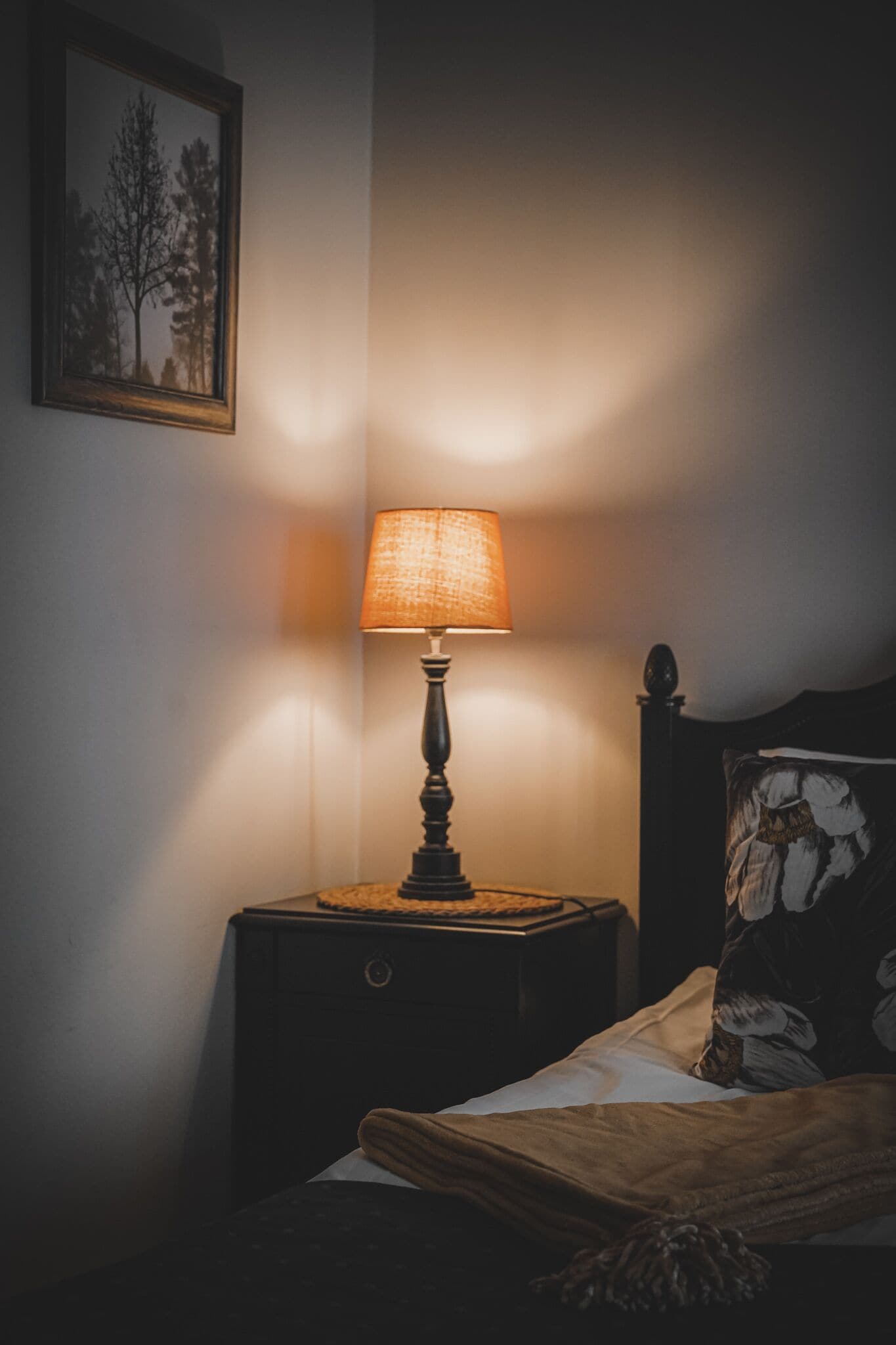 Una mesita de noche con una lámpara, una cama con un cojín estampado y un cuadro en la pared.