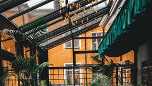 A cozy indoor space with patterned furniture, a glass ceiling, and potted plants. - Mojo Hotell (Örebro)