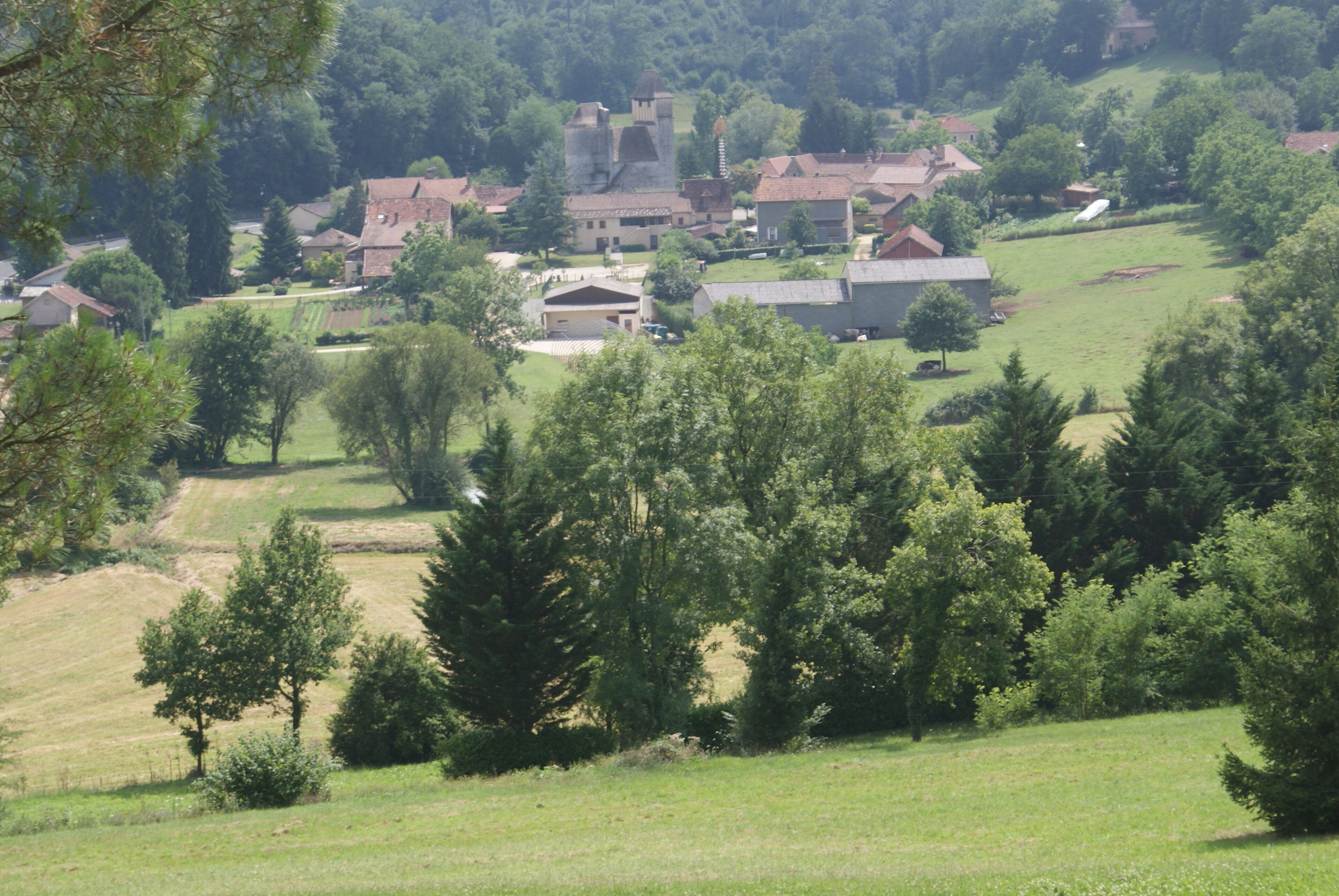 Un village rural avec des maisons, une église et une végétation luxuriante tout autour.