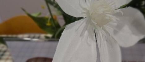 Una flor blanca en una maceta blanca con texto.