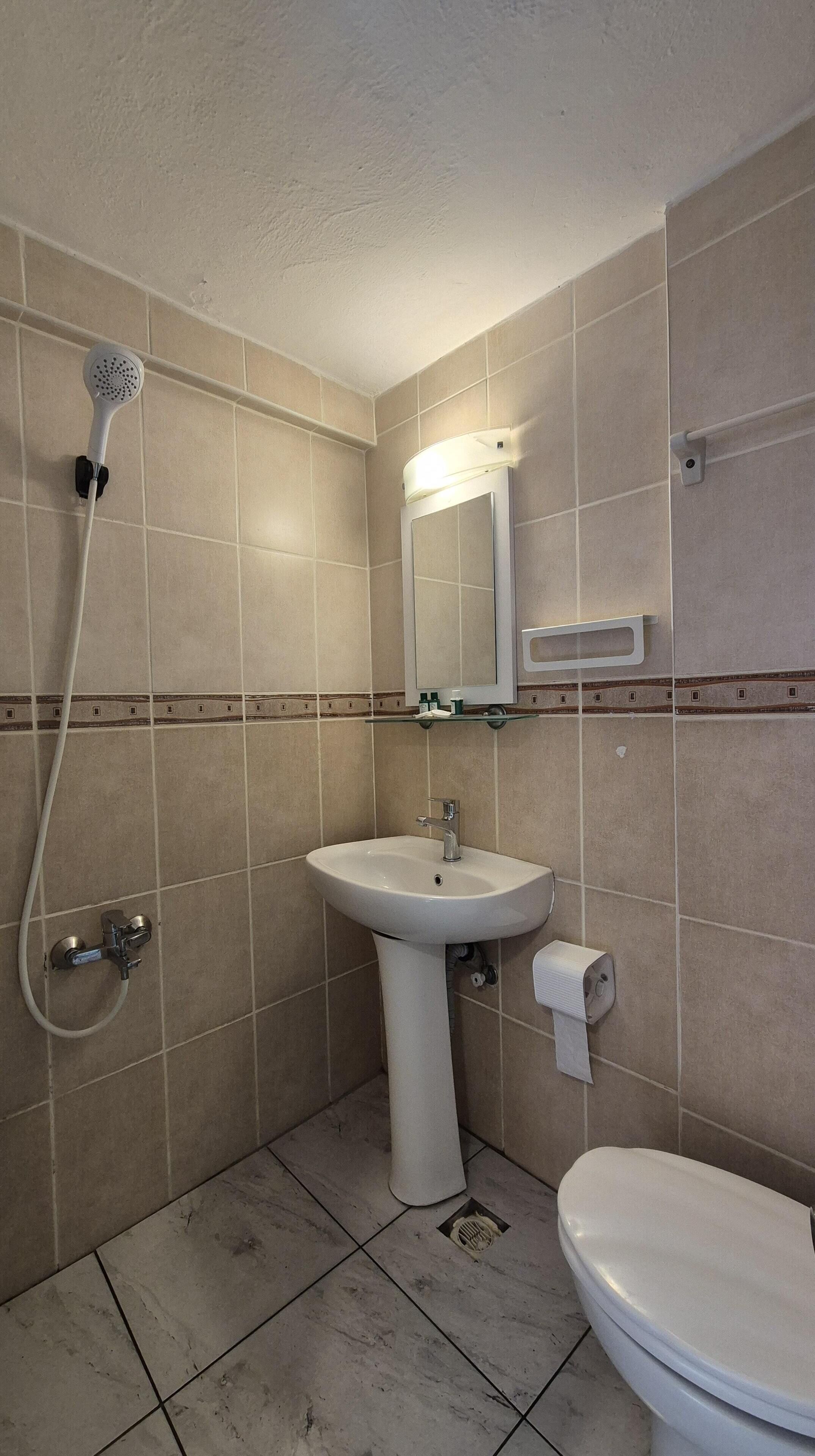 A bathroom with a shower, sink, toilet, and a mirror.