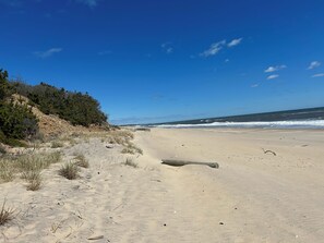 Playa en los alrededores