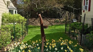 A garden with a central sculpture, surrounded by a variety of plants and flowers, including daffodils.