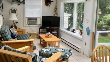 Smart TV, DVD player, books, stereo