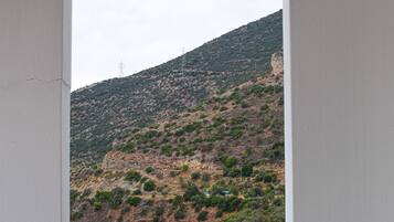 A coastal landscape through a window with a white frame, featuring a beach, rocky hillside, and sparse vegetation.